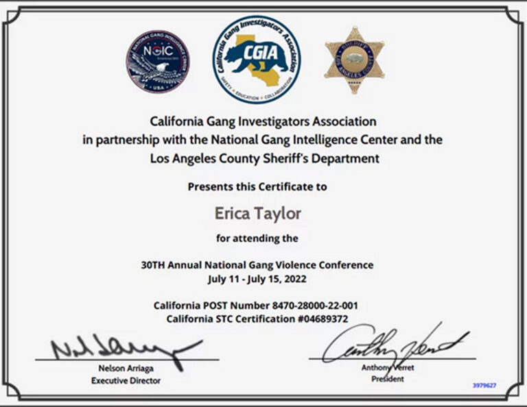 Custom professional certificate with government logos
